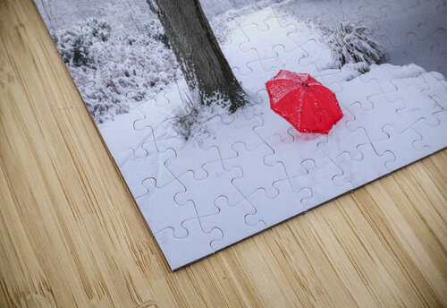 Oak tree and umbrella Assaf Frank puzzle