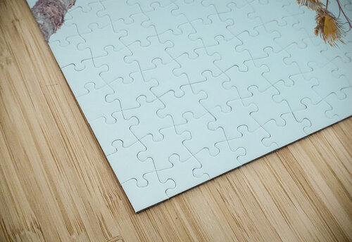 Palm trees Assaf Frank puzzle