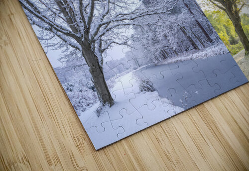 Four Seasons Assaf Frank puzzle