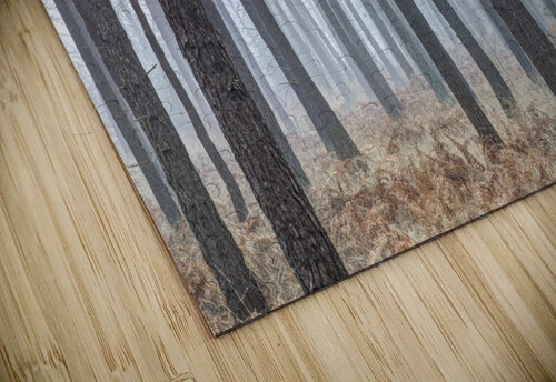Misty Forest Assaf Frank puzzle