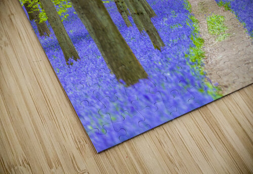 Bluebell Path Assaf Frank puzzle