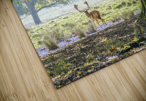 Stag under an old oak tree Assaf Frank puzzle