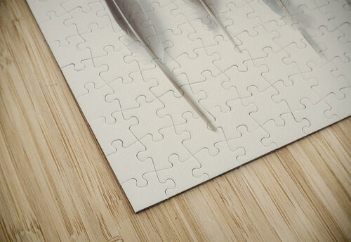 Subtle Harmony Assaf Frank puzzle