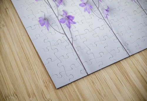 Delphiniums Assaf Frank puzzle