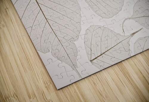 Skeleton leaves Assaf Frank puzzle