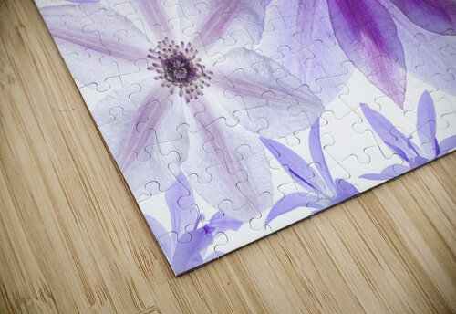 Clematis Flowers Assaf Frank puzzle