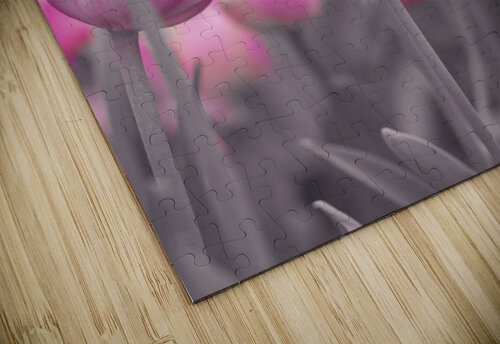Pink Tulips Assaf Frank puzzle