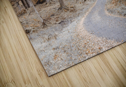 Make Your Own Path Assaf Frank puzzle