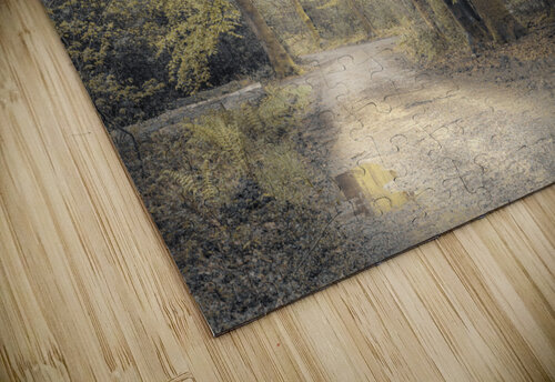 Forest Wanderings Assaf Frank puzzle
