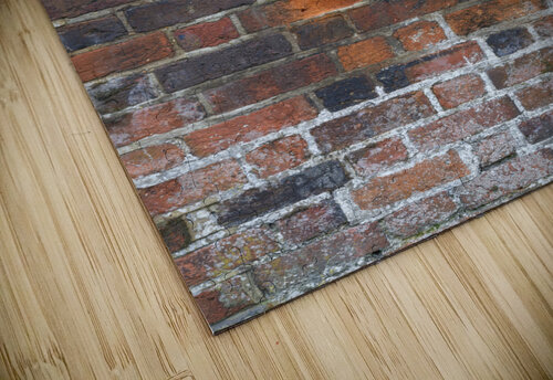 Old brick wall Assaf Frank puzzle