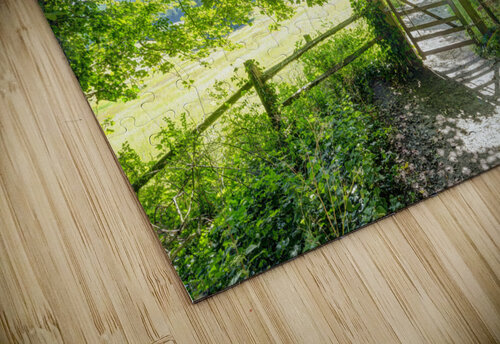 Forest Gate Assaf Frank puzzle