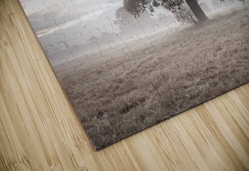 Tree at sunrise Assaf Frank puzzle