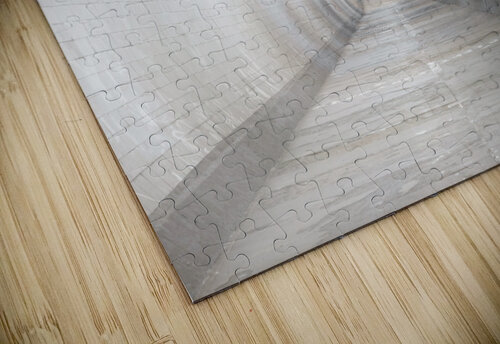 Urban Passage Assaf Frank puzzle