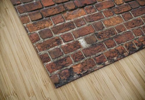 Brick wall Assaf Frank puzzle