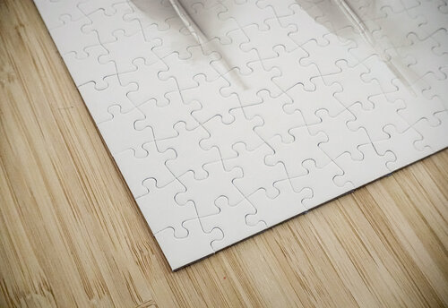 Delicate Feathers Assaf Frank puzzle