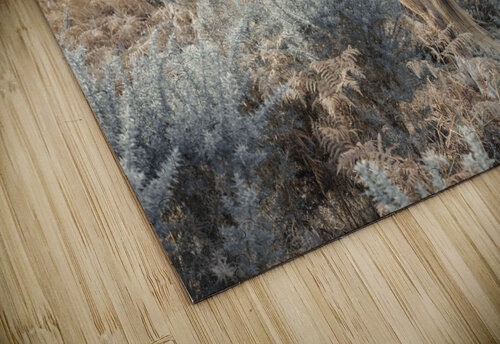 Wild Horses Assaf Frank puzzle