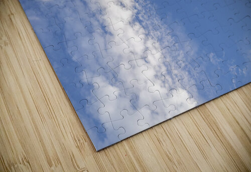 Gazing Skyward Assaf Frank puzzle
