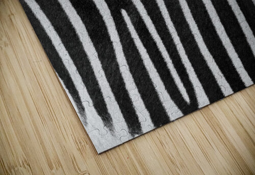 Zebra Stripes Assaf Frank puzzle