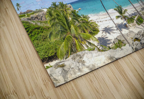Palm Lined Shore Assaf Frank puzzle