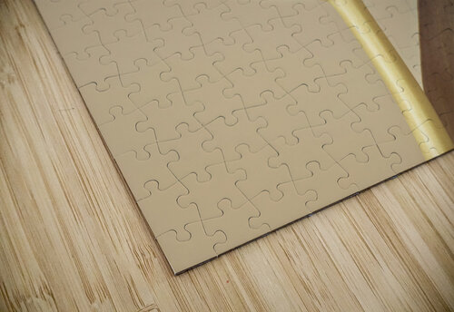 Single Tulip Assaf Frank puzzle