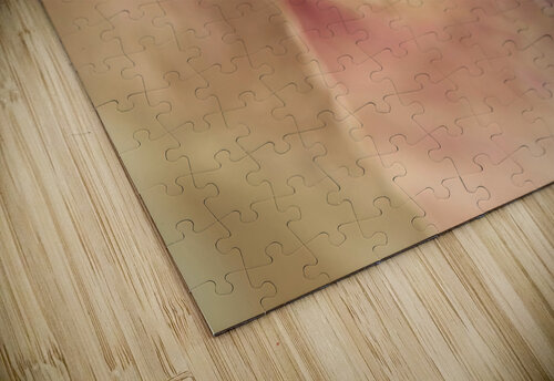 Bougainvillea Assaf Frank puzzle