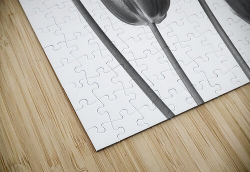 Fresh and Beautiful Tulips Assaf Frank puzzle