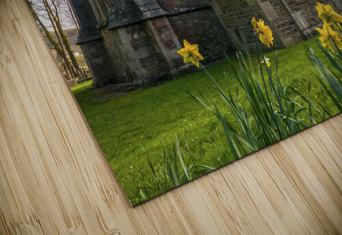 Easter Daffodils Assaf Frank puzzle