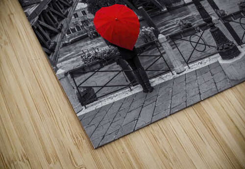 Accademia Bridge Venice Assaf Frank puzzle