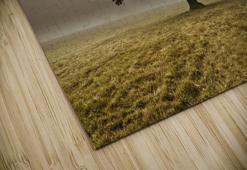 Single Tree Assaf Frank puzzle