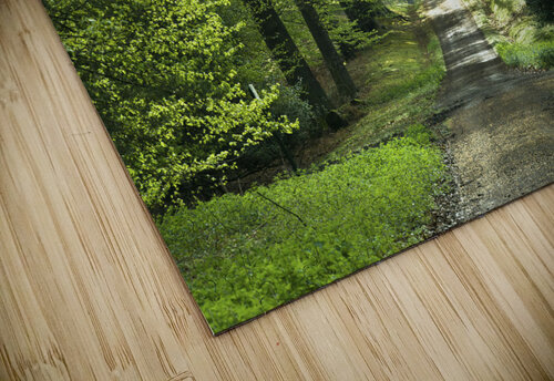 Flourishing Path Assaf Frank puzzle