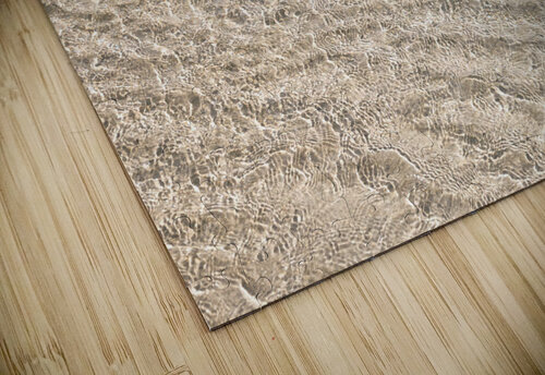 Shallow Waters Assaf Frank puzzle