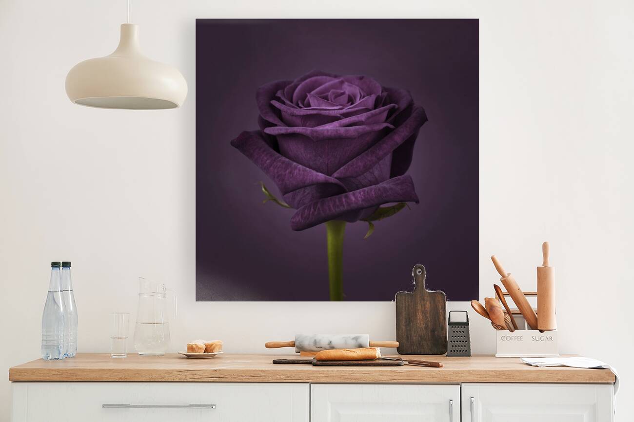 Royal Beauty Reproduction