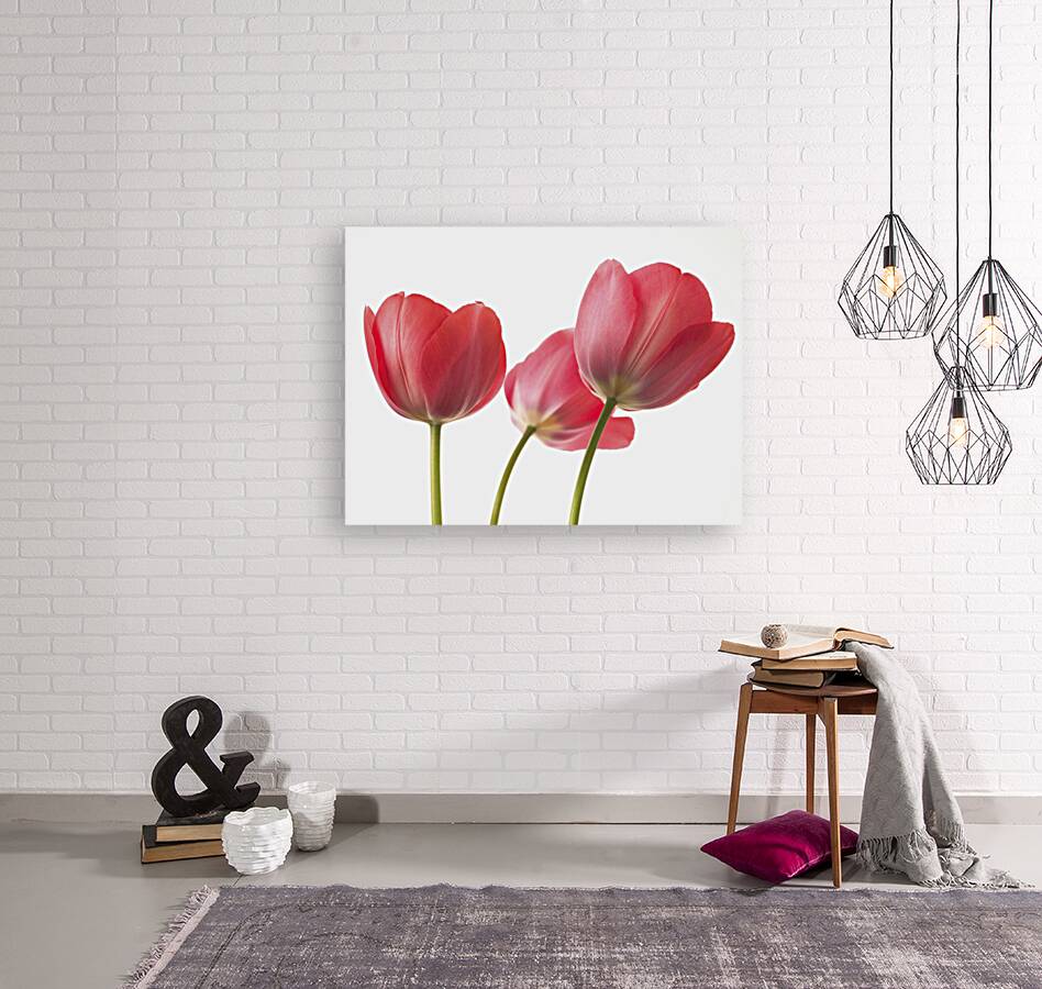 Red Tulips Reproduction