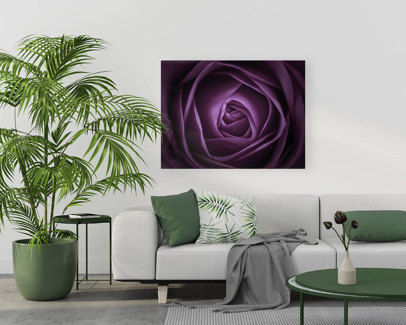 Purple rose Reproduction