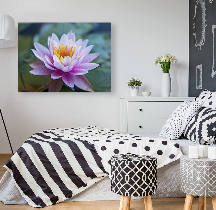 Gentle Grace Reproduction