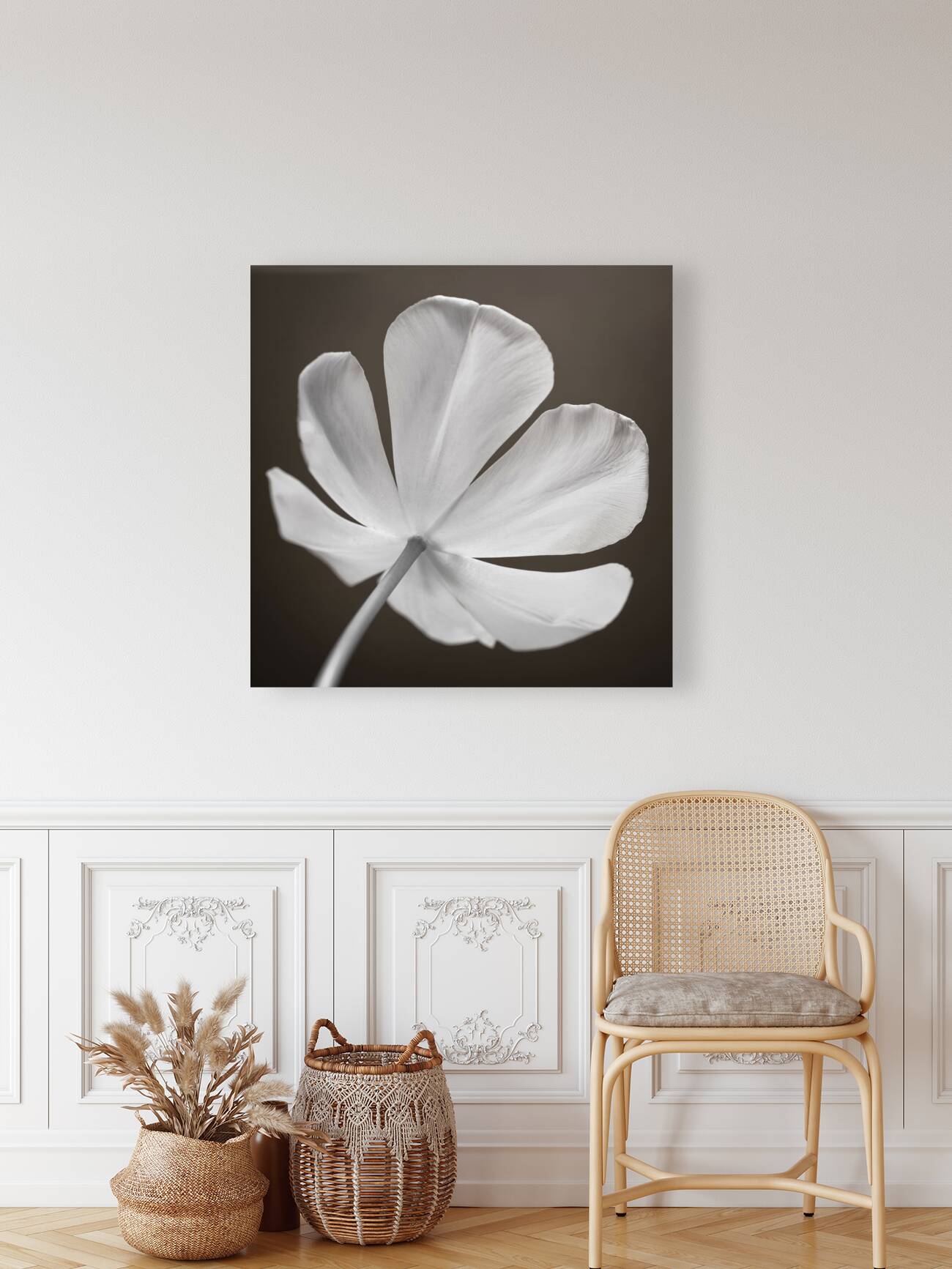 Graceful Tulip Reproduction