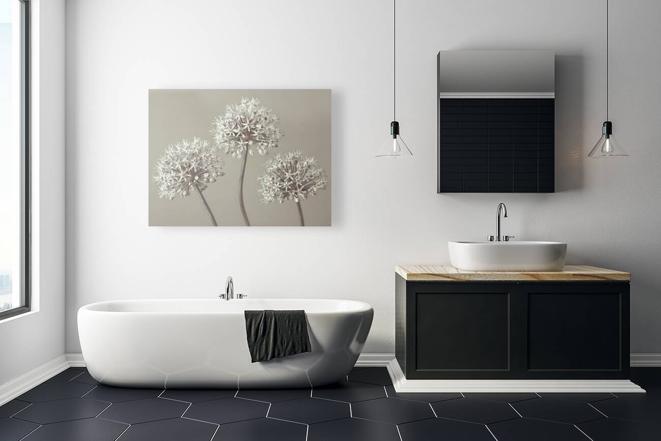 Three Alliums Reproduction