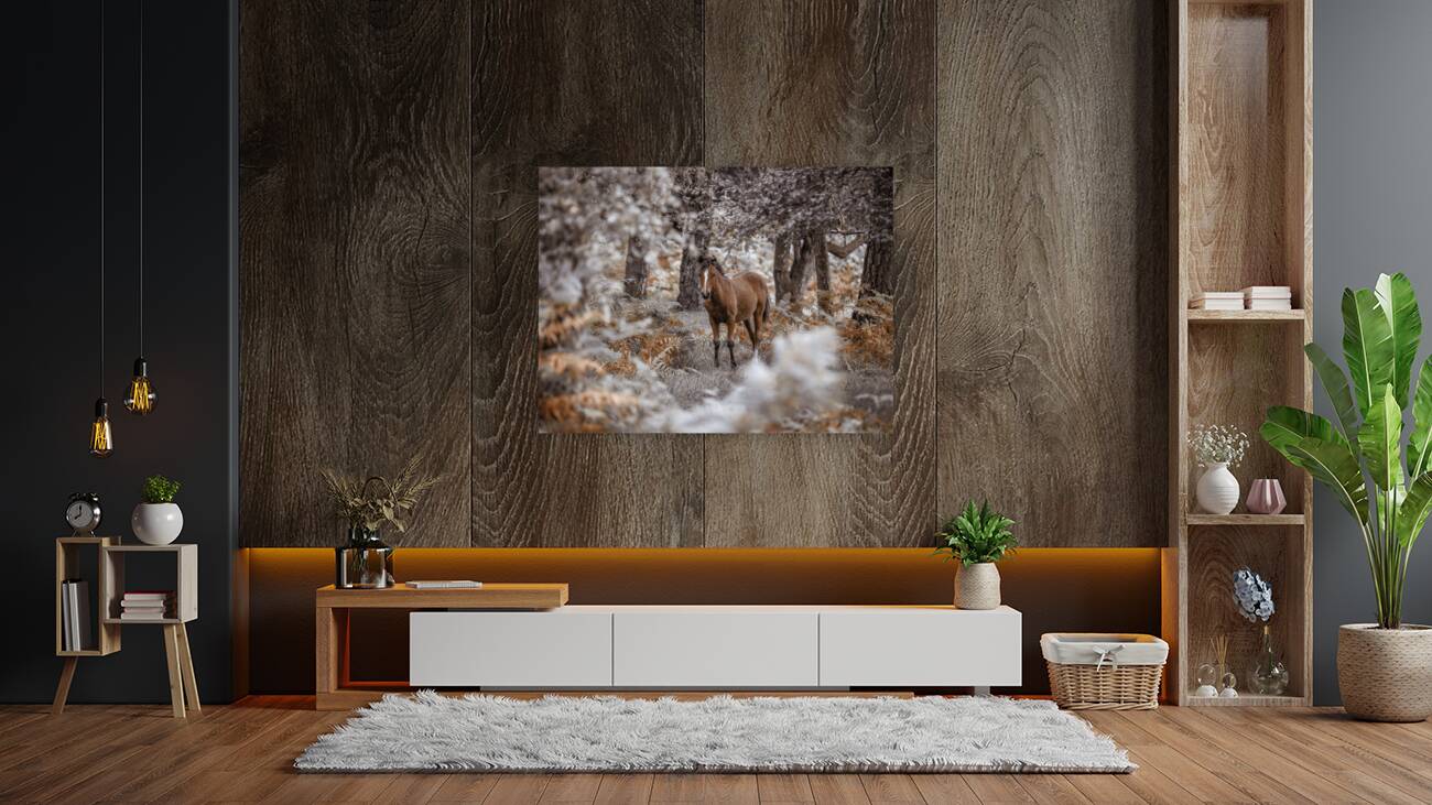 Wild Stallion Reproduction