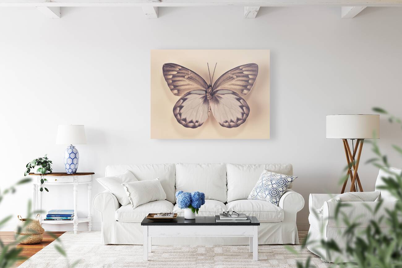 Butterfly Reproduction