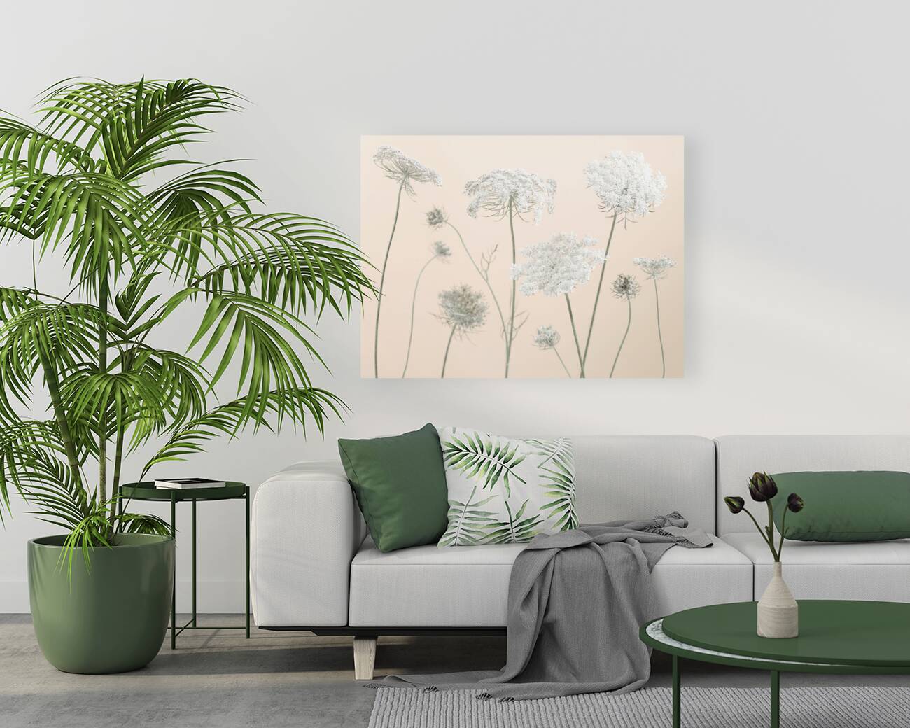 Cow parsley Reproduction