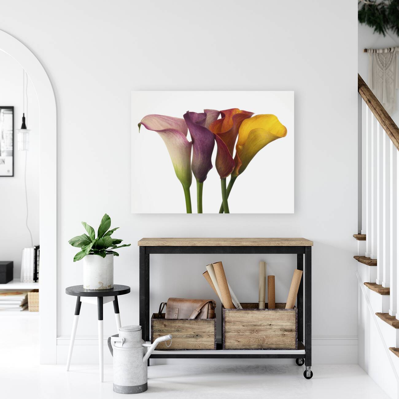 Calla Lilies Reproduction