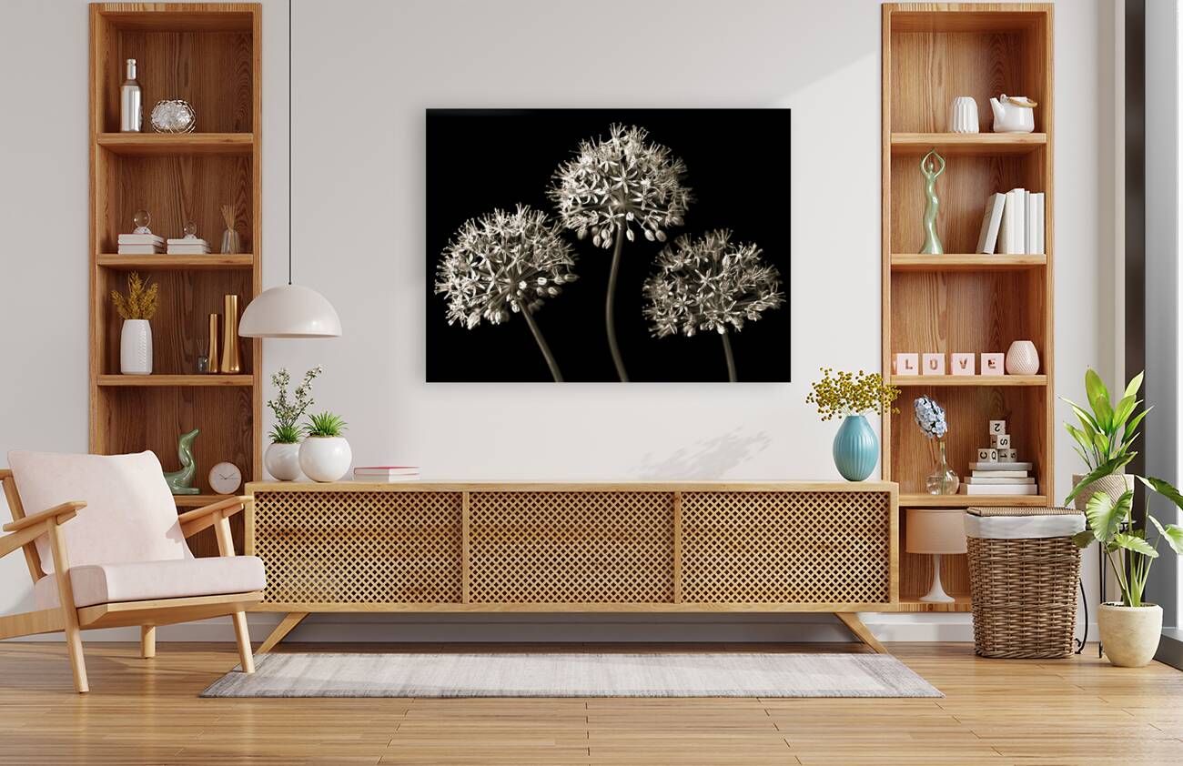 Three Alliums Reproduction