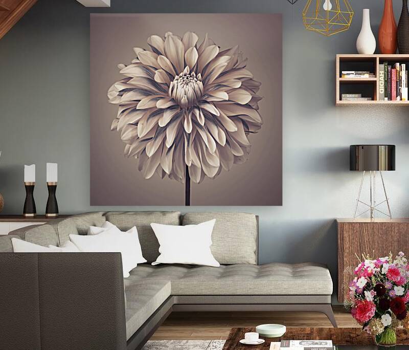 Dahlia Flower Reproduction
