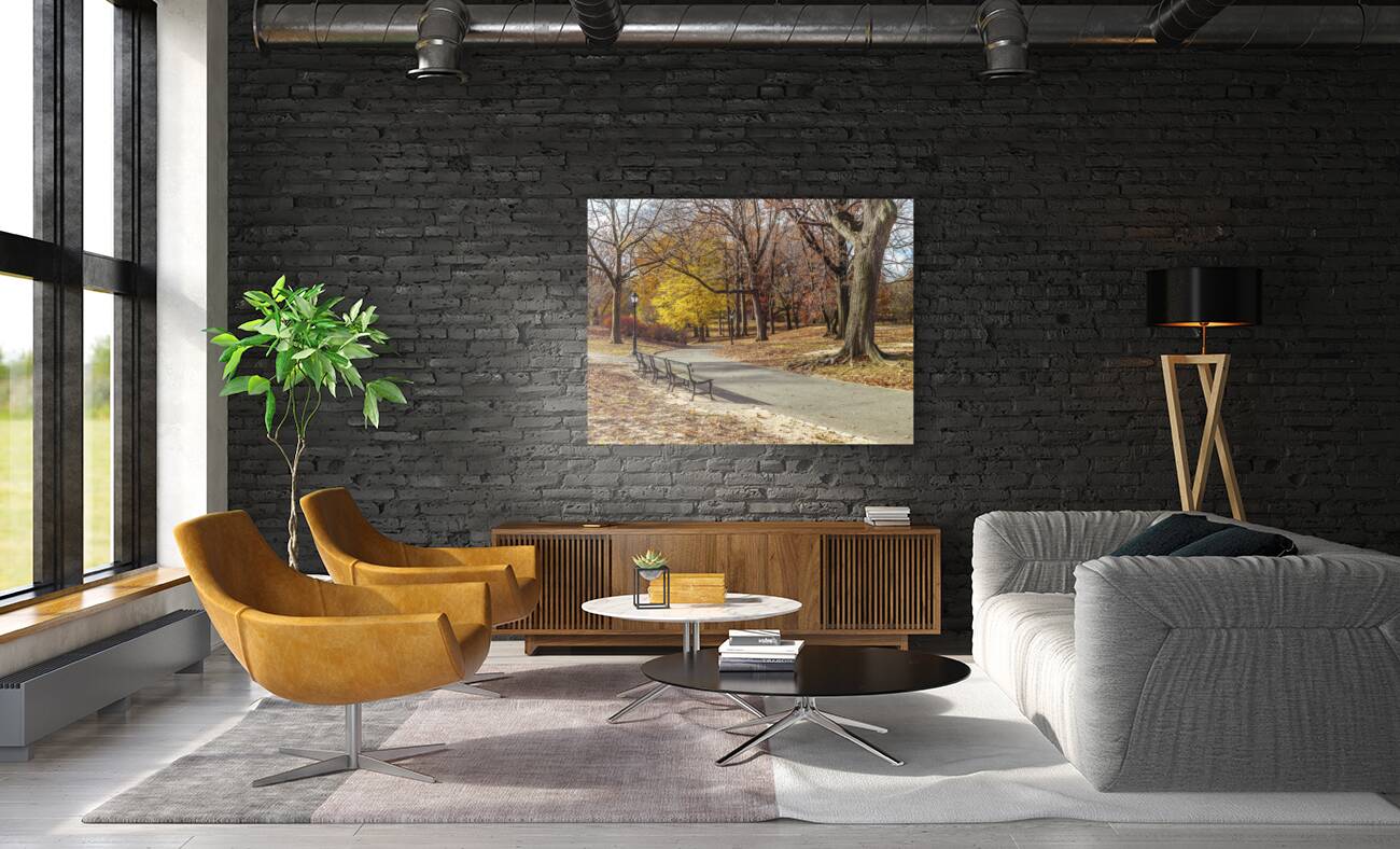 Central Park  Reproduction
