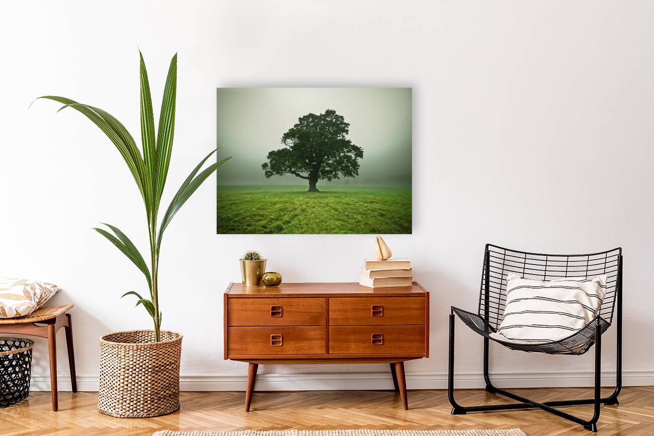 Ethereal Presence Reproduction