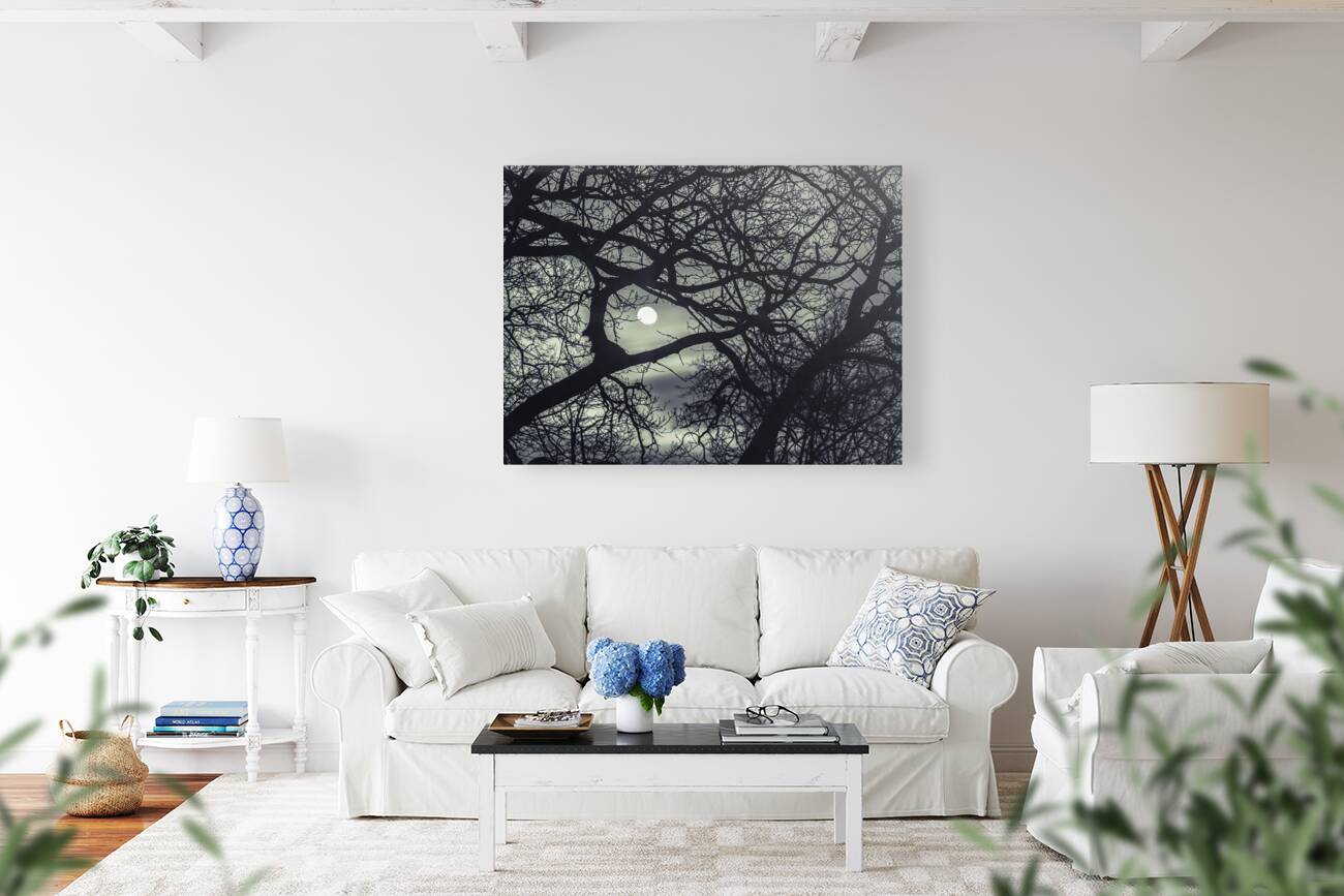 Moon through the Tree Reproduction