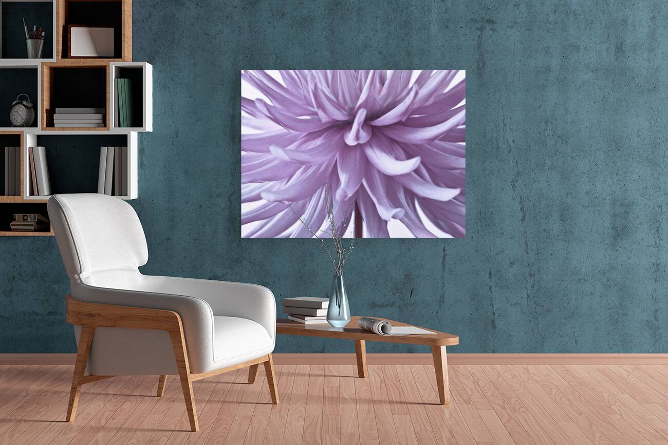 Spiky Petals Reproduction