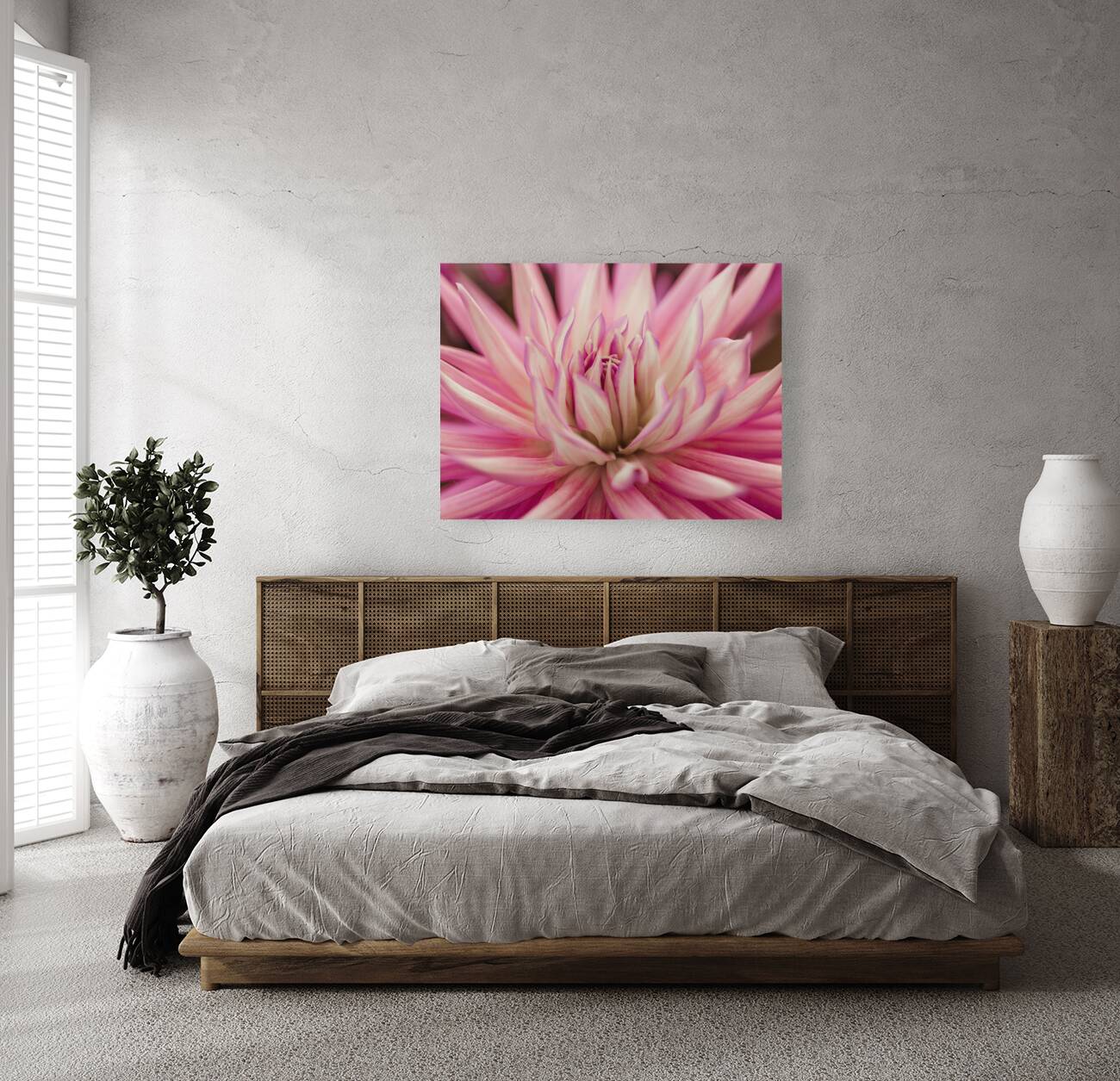 Radiant Dahlia Reproduction