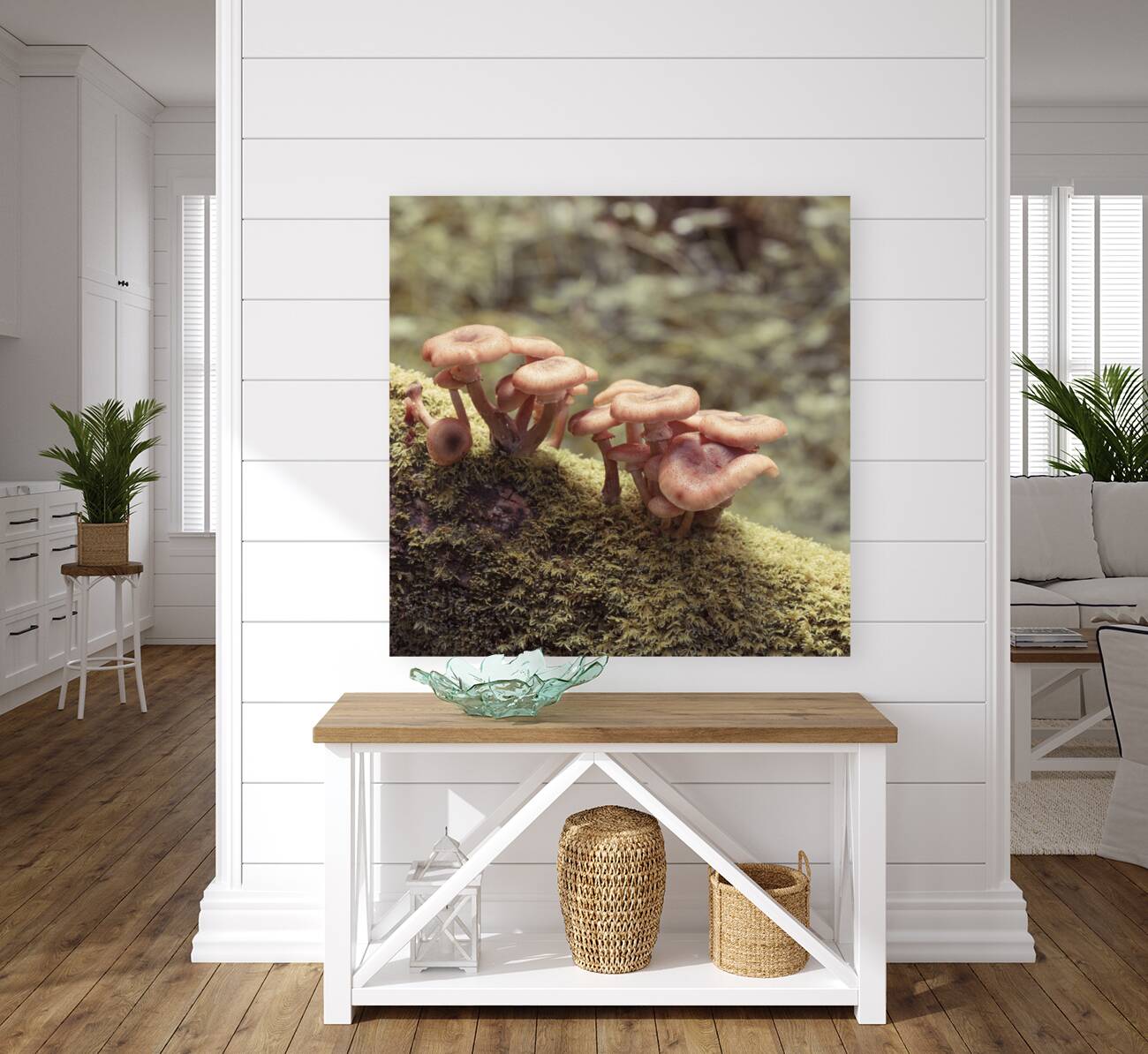 Mushrooms Reproduction