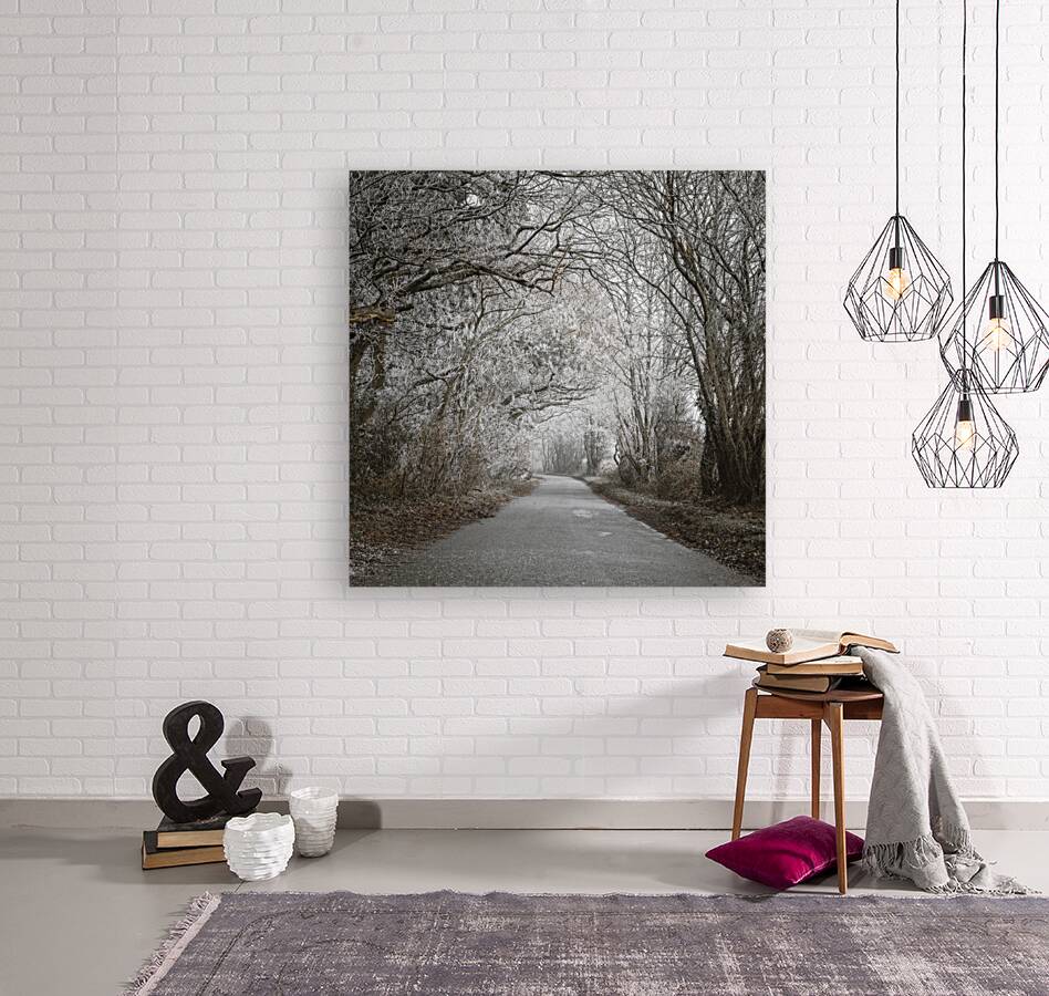 Frozen Journey Reproduction